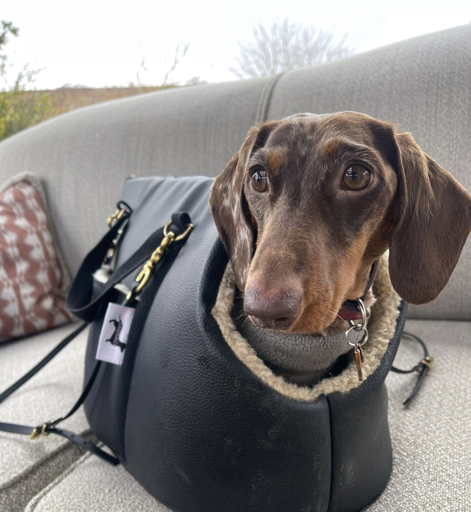 Sausage dog hotsell carry bag